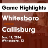 Basketball Game Recap: Callisburg Wildcats vs. Paradise Panthers