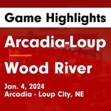 Wood River vs. Arcadia/Loup City