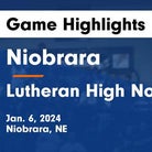 Basketball Game Preview: Niobrara/Verdigre Cougars vs. Ainsworth Bulldogs