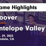 Basketball Game Preview: Antelope Valley Antelopes vs. Palisades Dolphins