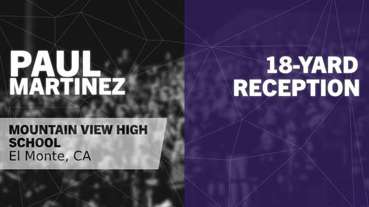 Baseball Recap: Mountain View finds playoff glory versus Animo Leadership