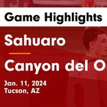 Basketball Game Recap: Canyon del Oro Dorados vs. Sahuaro Cougars