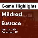 Basketball Game Recap: Mildred Eagles vs. Rice Bulldogs