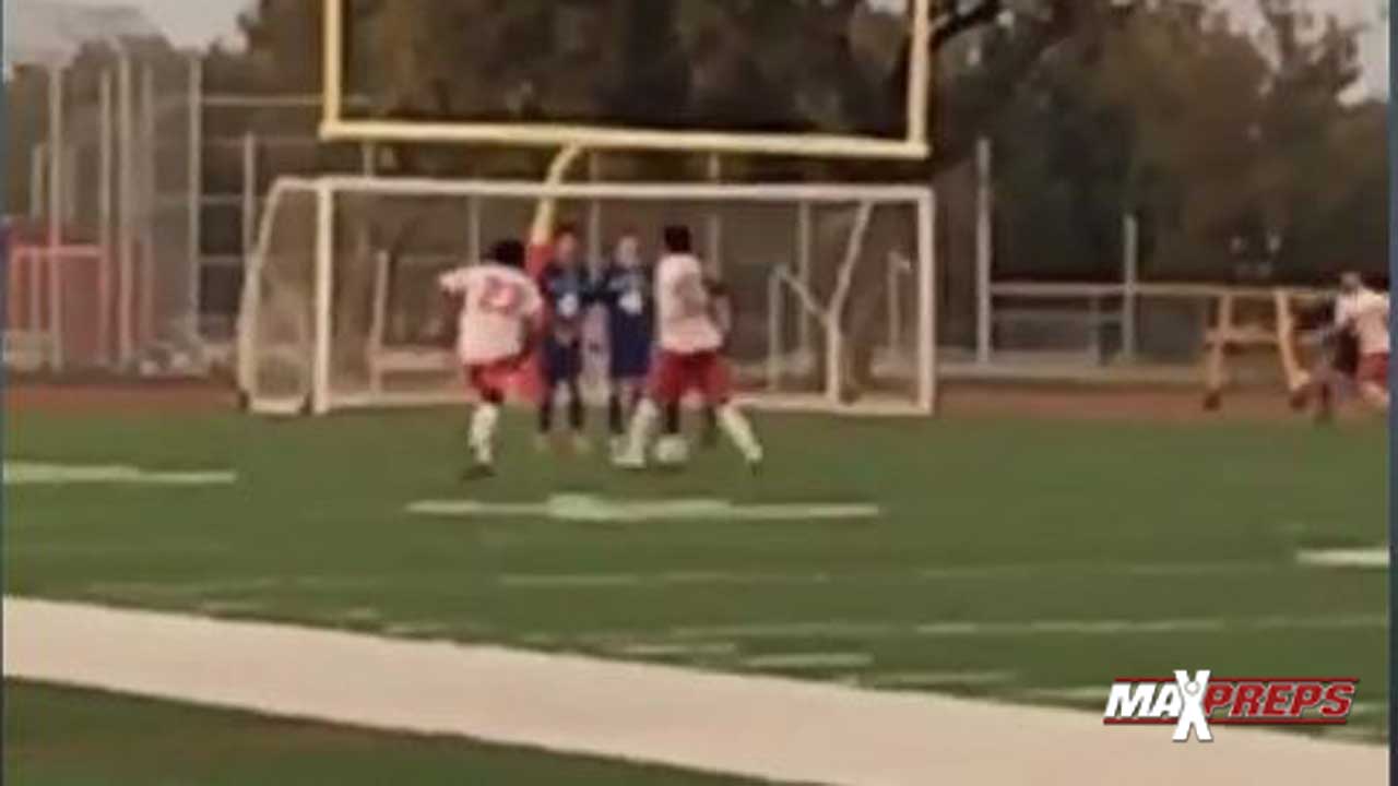 Video: Soccer goal of the year?