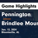 Basketball Game Preview: Pennington Tigers vs. Appalachian Eagles