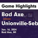Basketball Game Preview: Bad Axe Hatchets vs. Cass City Red Hawks