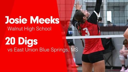 Softball Game Preview: Walnut Wildcats vs. Hamilton Lions