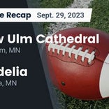 Football Game Recap: New Ulm Cathedral Greyhounds vs. Cedar Mountain Cougars