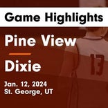 Basketball Game Preview: Pine View Panthers vs. Hurricane Tigers