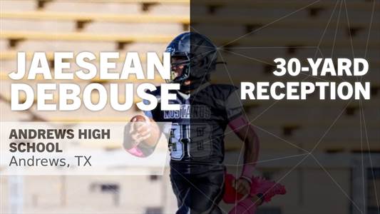 Baseball Game Preview: Andrews Mustangs vs. Monahans Loboes