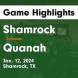 Basketball Game Recap: Shamrock Irish vs. Memphis Cyclones