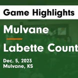 Basketball Game Recap: Mulvane Wildcats vs. Labette County Grizzlies