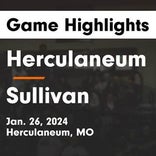 Basketball Game Preview: Herculaneum Black Cats vs. Valley Park Hawks