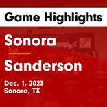 Basketball Game Preview: Sanderson Eagles vs. Van Horn Eagles