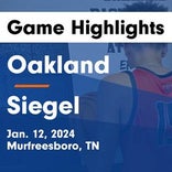 Basketball Recap: Siegel extends road winning streak to ten