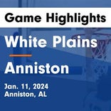Basketball Game Recap: Anniston Bulldogs vs. Jacksonville Golden Eagles