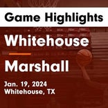 Basketball Game Preview: Whitehouse Wildcats vs. Hallsville Bobcats