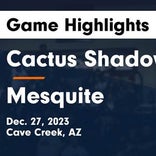 Mesquite vs. Cactus Shadows
