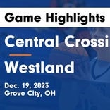 Westland extends road losing streak to 12
