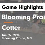 Basketball Game Preview: Blooming Prairie Awesome Blossoms vs. Hayfield Vikings