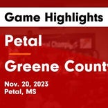 Basketball Game Preview: Greene County Wildcats vs. Northeast Jones Tigers