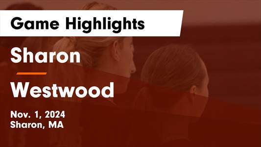 Volleyball Game Preview: Westwood Wolverines vs. Masconomet Regi