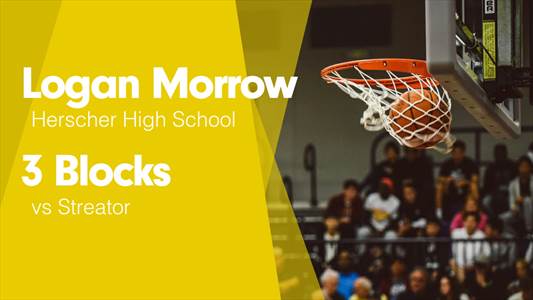 Basketball Recap: Logan Morrow's Big Game Can't Quite Lead Hersc