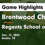 Basketball Game Preview: Brentwood Christian Bears vs. Holy Cross Knights