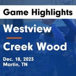 Basketball Game Preview: Westview Chargers vs. Millington Central Trojans