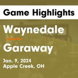Basketball Game Preview: Waynedale Golden Bears vs. Triway Titans