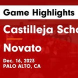 Basketball Game Recap: Novato Hornets vs. Castilleja Gators