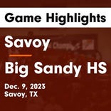 Basketball Game Preview: Savoy Cardinals vs. Fannindel Falcons
