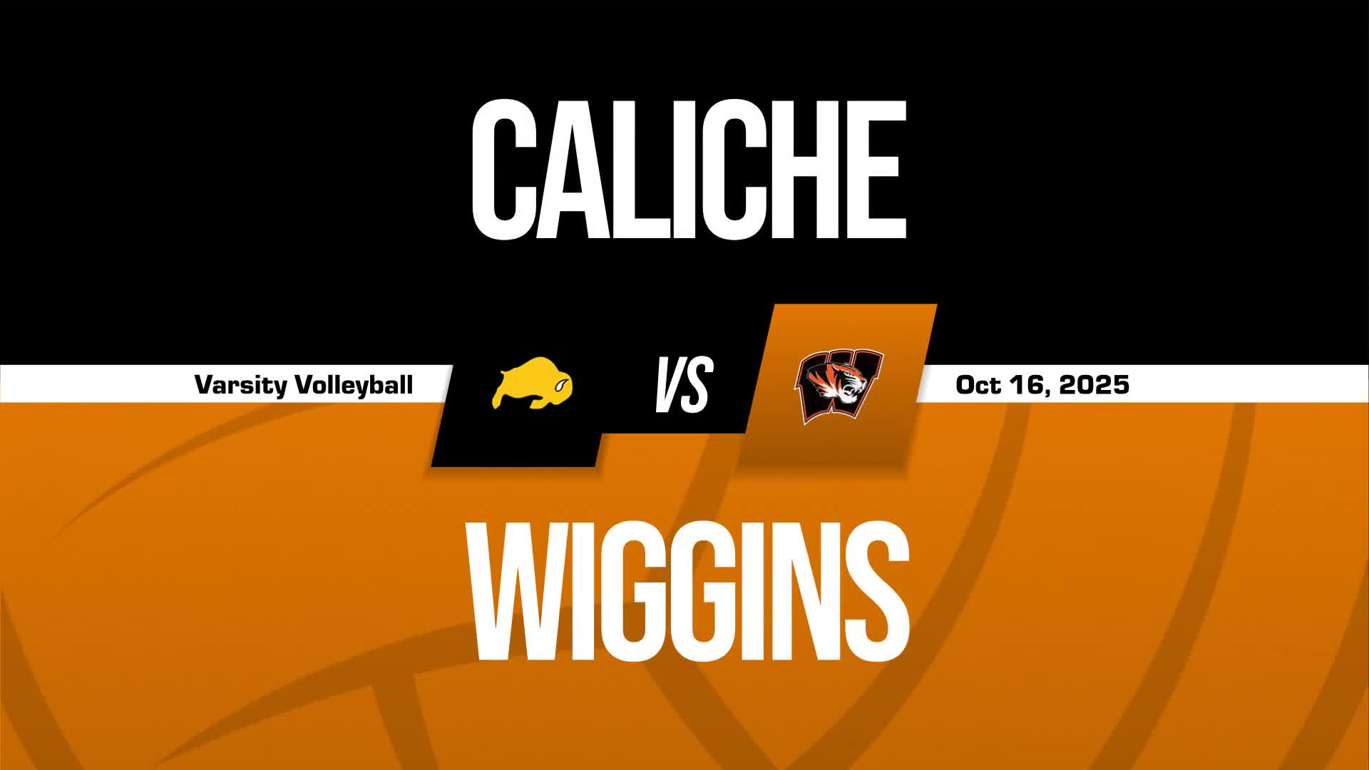 Volleyball Recap: Caliche Falls Despite Big Games from  Hallie L
