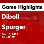 Diboll wins going away against Spurger