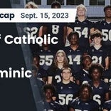 Football Game Preview: LeRoy Panthers vs. Althoff Catholic Crusaders