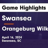 Soccer Game Recap: Swansea vs. Gilbert