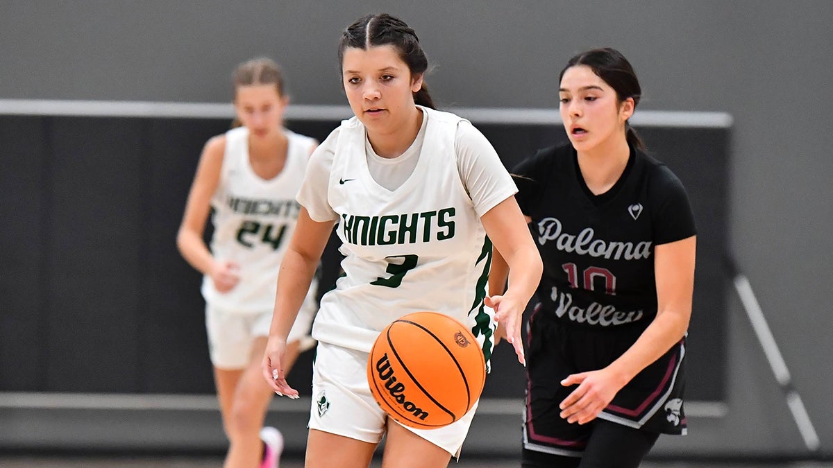 High school basketball: Dejah Saldivar from California, Emon Hodzic from Illinois headline Stat Freaks