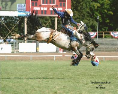 Taos Muncy (Corona, N.M.) has won the National Finals in rodeo twice.