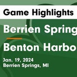 Basketball Game Preview: Berrien Springs Shamrocks vs. Constantine Falcons