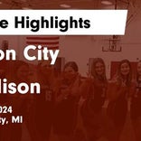 Basketball Game Recap: Addison Panthers vs. Onsted Wildcats