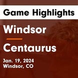 Centaurus vs. Windsor