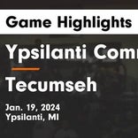 Basketball Game Preview: Tecumseh Indians vs. Hudson Tigers