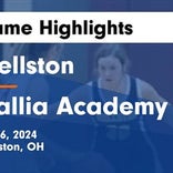 Basketball Game Recap: Gallia Academy Blue Devils vs. Fairland Dragons