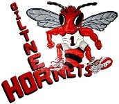 Iowa & Nebraska: Giltner, St. Albert teams to watch