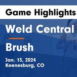 Weld Central takes loss despite strong efforts from  Isabel Weisenborn and  Auburn Thoene