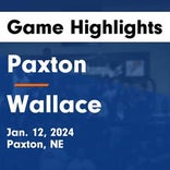 Basketball Game Recap: Wallace Wildcats vs. Brady Eagles