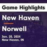 Basketball Game Preview: New Haven Bulldogs vs. Columbia City Eagles