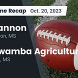 Football Game Recap: Itawamba Agricultural Indians vs. Shannon Red Raiders