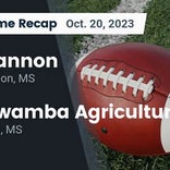 Itawamba Agricultural vs. Shannon