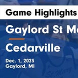 Cedarville vs. Alpena